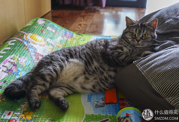 钢琴烤漆表面刮痕修补,钢琴烤漆划伤怎么办