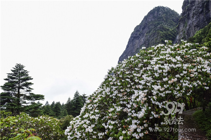 冰火两重天!“滇中第一高峰”瞬间吸了不少外国粉!