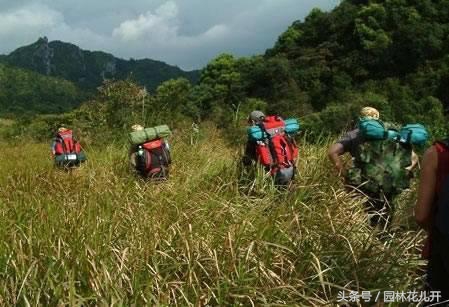 年轻人创业项目排行榜前十名,适合年轻人创业项目小本