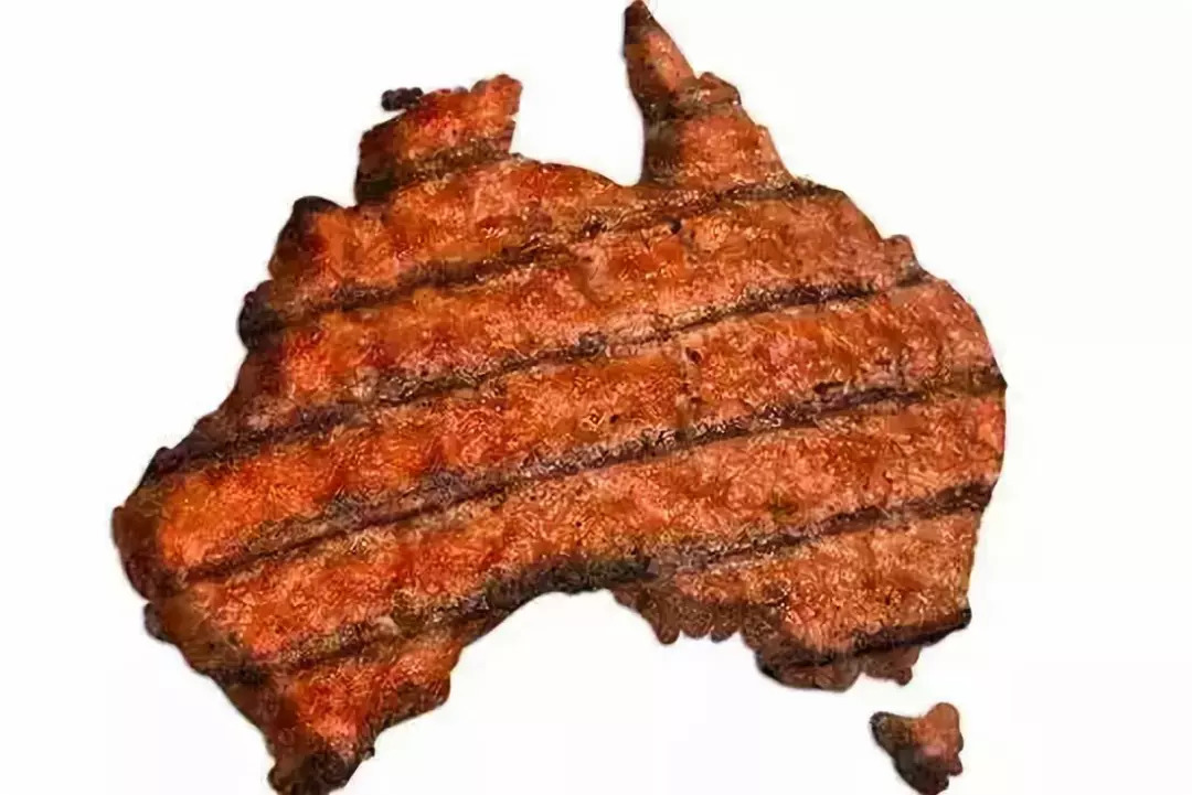 每天都有大量肉食动物到昆明废旧工厂，狂啃50CM高的火焰战斧牛排