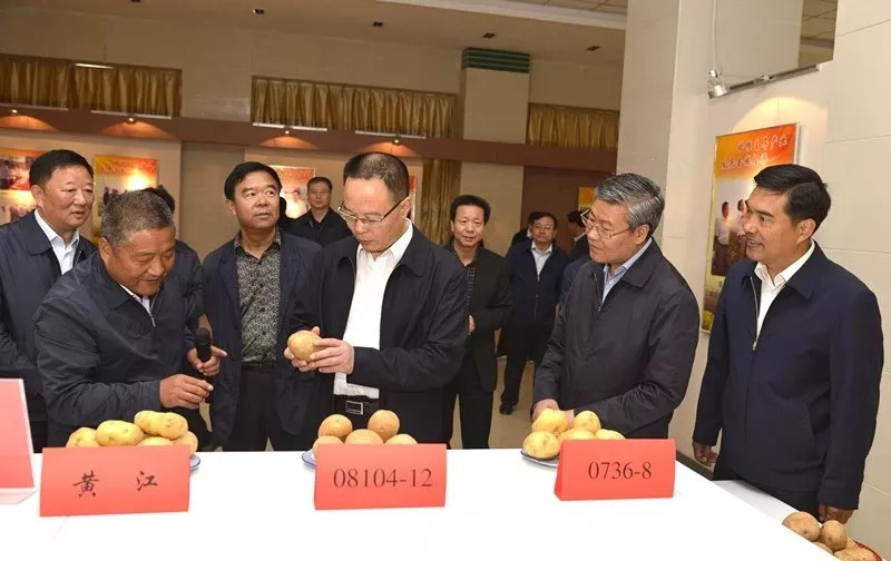 孙伟讲脱贫视频,陇南孙伟