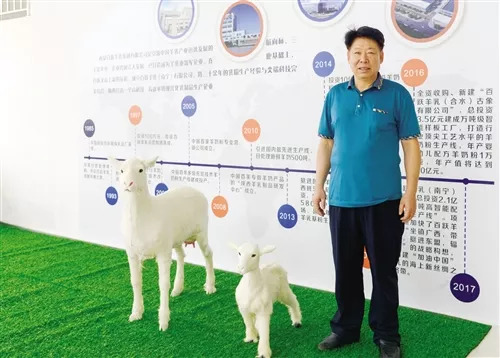 营商沃土助企业发展腾飞,提升营商环境助推企业驶入快车道