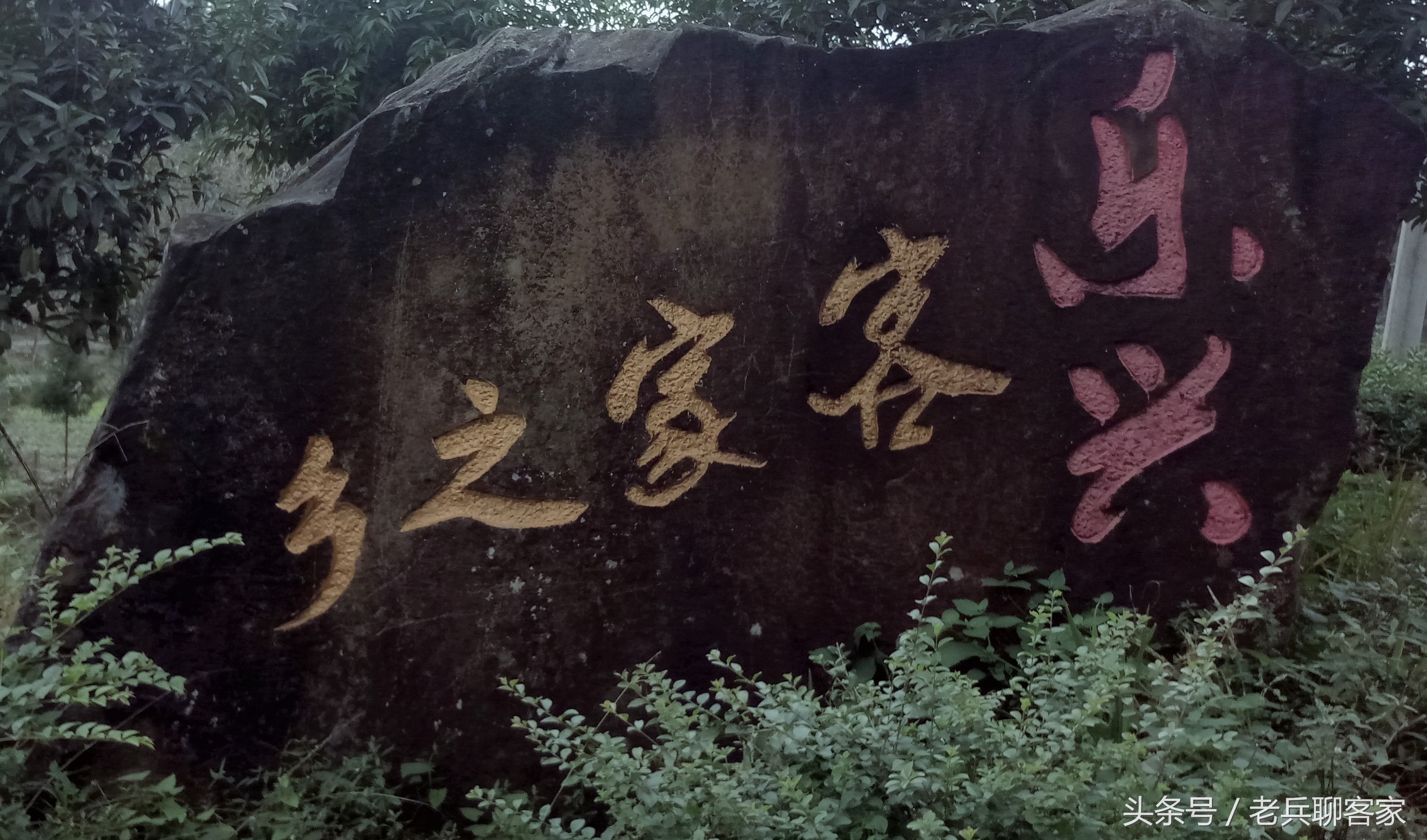 客家方言汇编,仪陇县客家话的视频