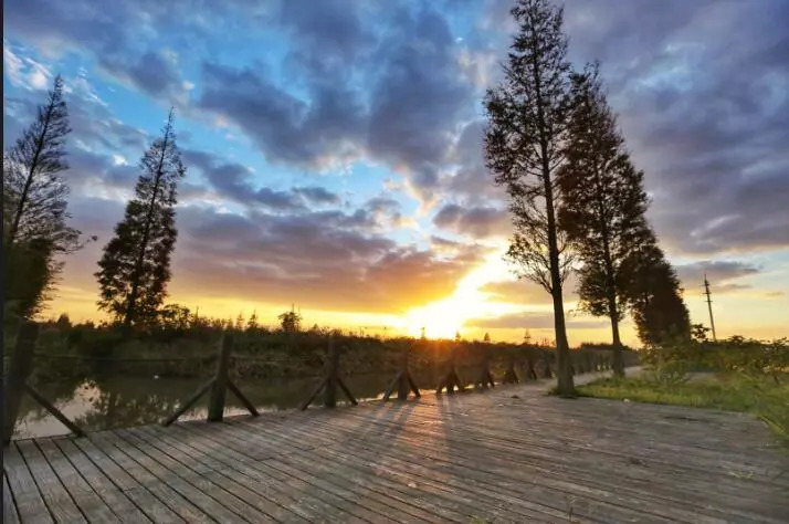 崇明旅游小镇,印象崇明岛