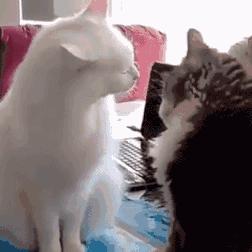 孩子蛀牙不会痛，医生为啥要杀死牙神经！你家娃中招了吗？