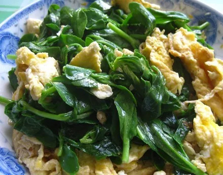 百草园食补养生,百草园二十种草药