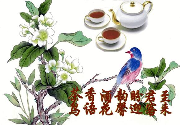 祝你2019年越来越好,祝你永远年轻漂亮开心图片