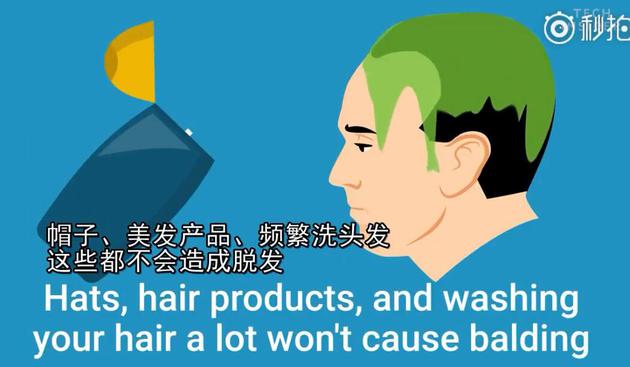 小贝热搜,小贝脱发