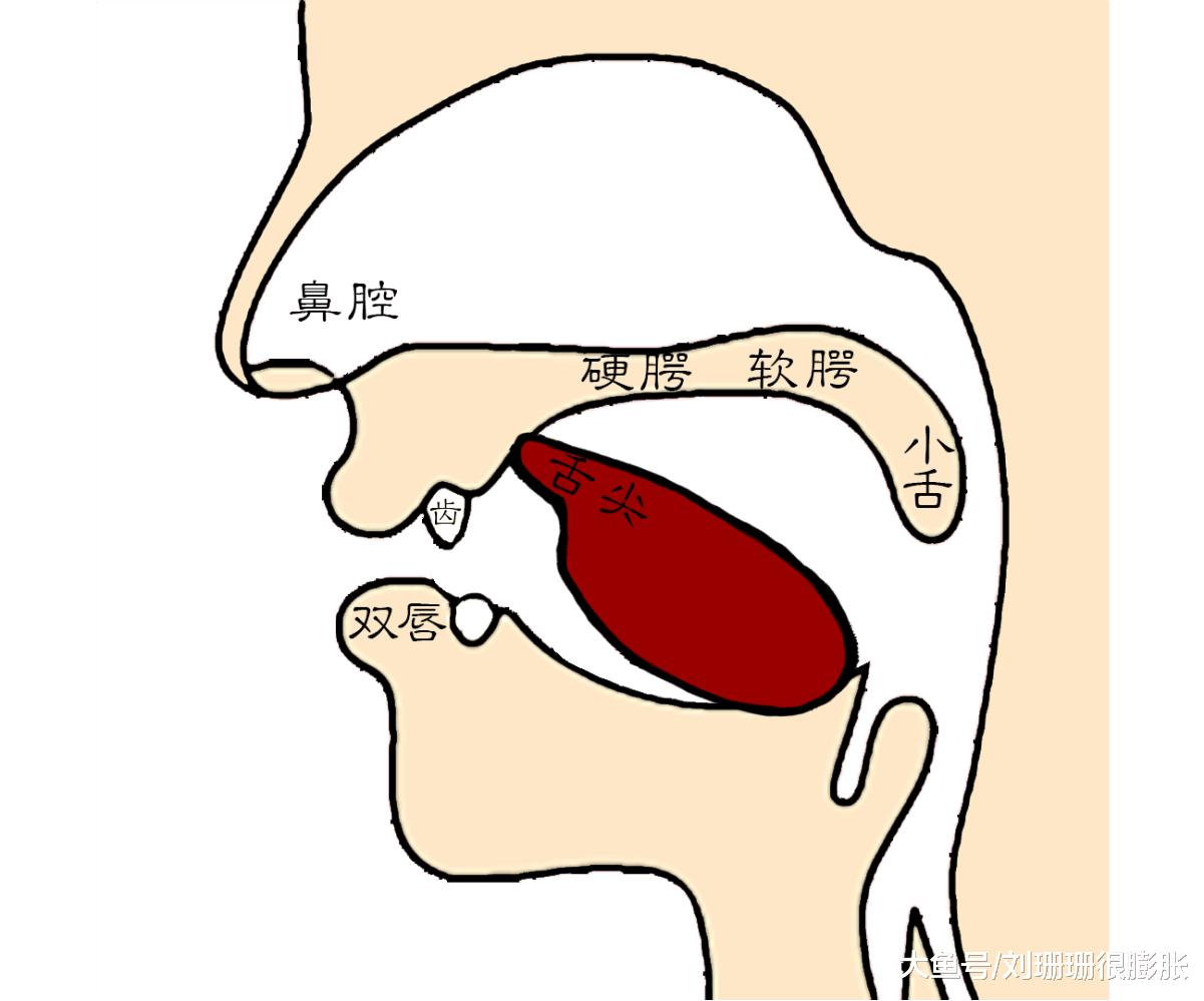 怎样高效解决平翘舌不分的问题,平翘舌怎样才能练好