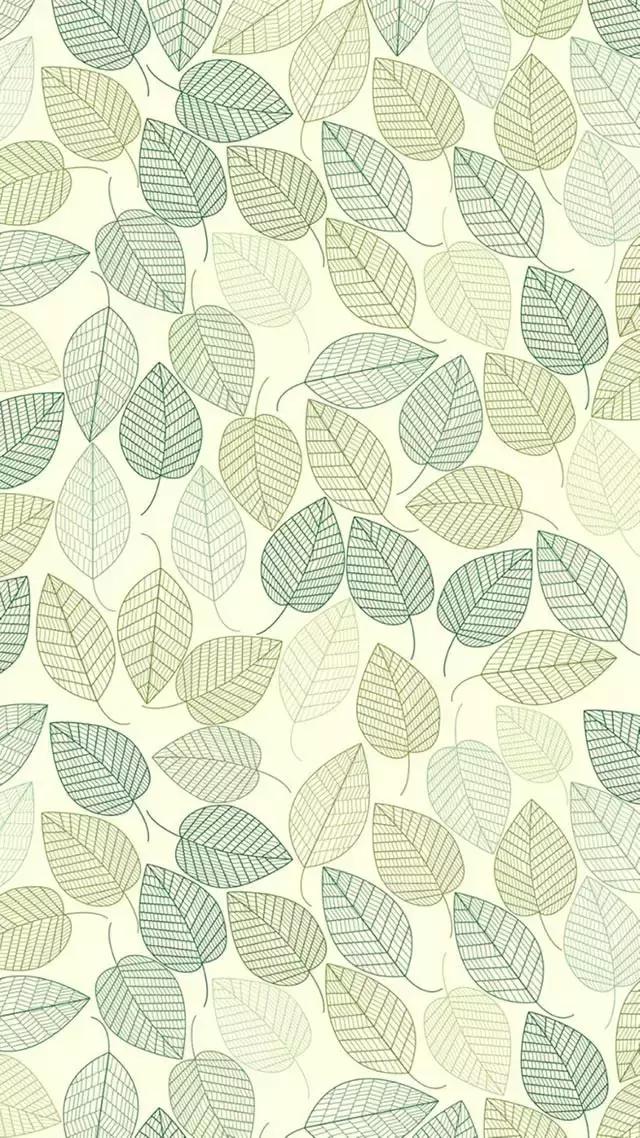 iphone壁纸斗罗大陆壁纸,壁纸控