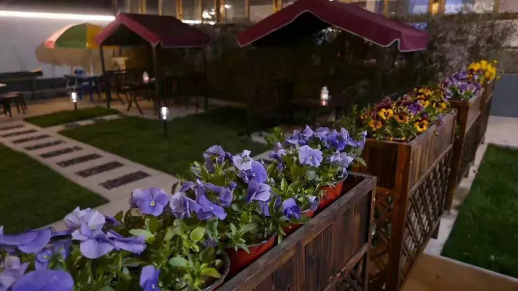 北京100元私人民宿,北京周边最美民宿排名前十名