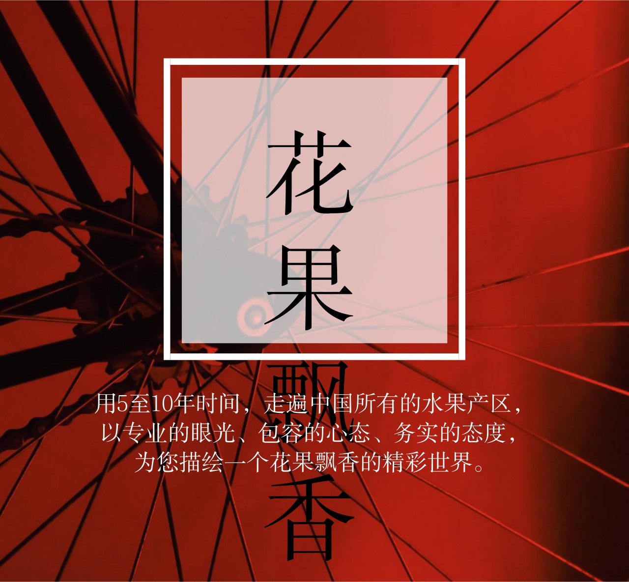 石榴界的网红软籽石榴,今日水果软籽石榴