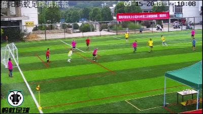 河南信阳蚂蚁足球,信阳蚂蚁足球赛事