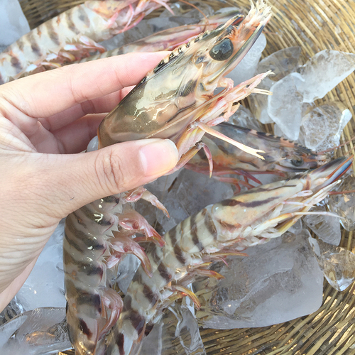 中秋大闸蟹优惠,中秋节礼品上海大闸蟹