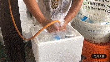 中秋佳节送礼就送精品大闸蟹,中秋节送大闸蟹礼券活动