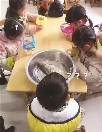 数1亿粒米?画30天月亮?这些奇葩作业把家长逼疯了