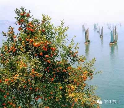 诗意东山｜花间小坐夕阳迟