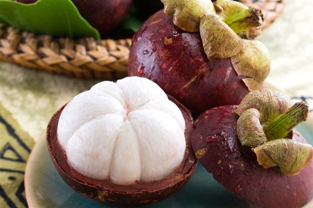 如何面对山竹台风,17级以上的台风山竹