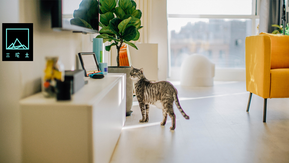 比买买买更开心的事,比买包还快乐的事儿