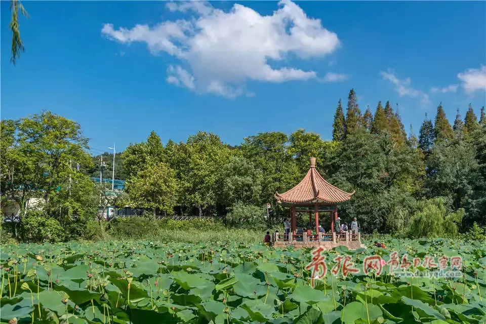 青岛市个人税收优惠政策,2019年青岛人免门票