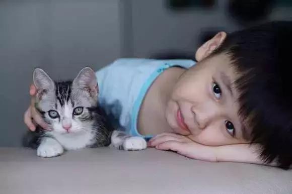 人们为什么瞧不起土猫?「科瑞卡科普」