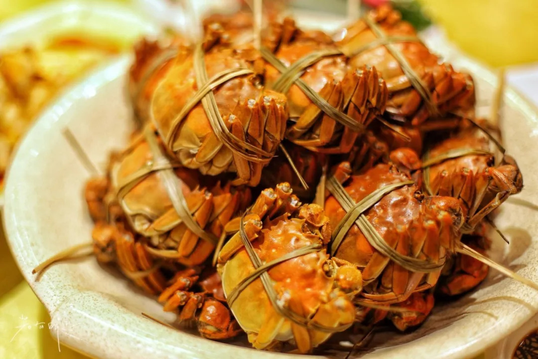 沙家浜二日游旅游攻略,沙家浜春节一日游攻略