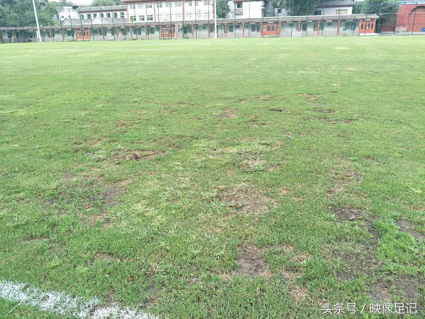 涓浗瓒冲崗濂宠冻鎯ㄨ触鑽峰叞,涓浗濂宠冻璁╀汉蹇冪柤