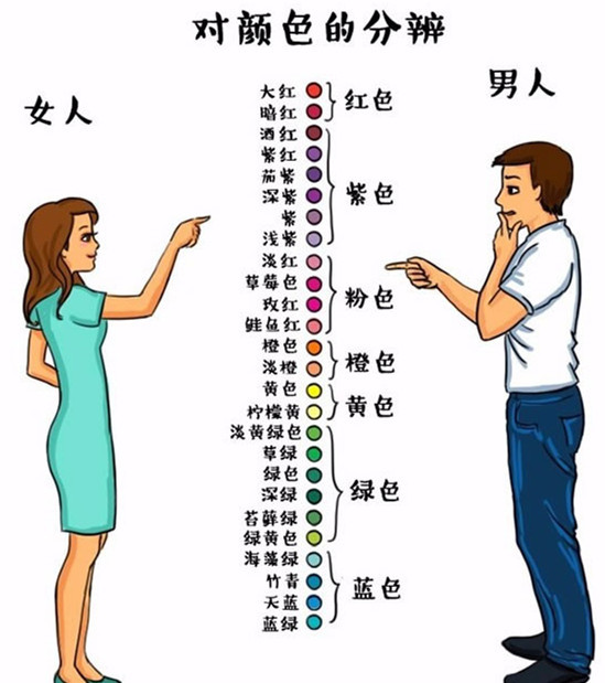 洪兰教授男女大脑思维差异完整版,洪兰教授男女大脑思维差异