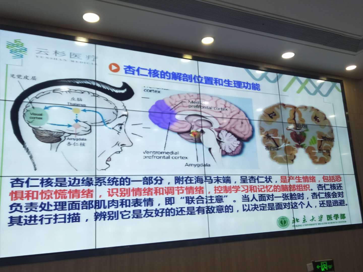 洪兰教授男女大脑思维差异完整版,洪兰教授男女大脑思维差异