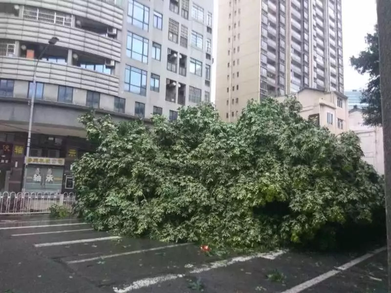 广州12345最有效的投诉方法,广州12345是24小时热线吗