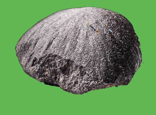 别拦我！顶着十级山竹我也要去！科技发烧友们不能错过的福利