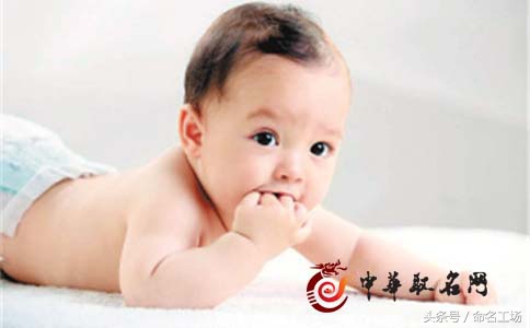 和海有关的乳名,与海字配对的名字