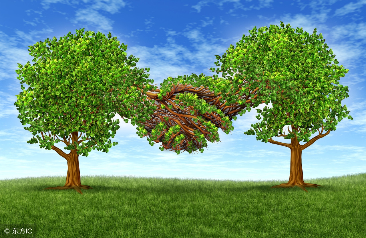 100个创业实用小项目,2020创业好项目投资小利润大