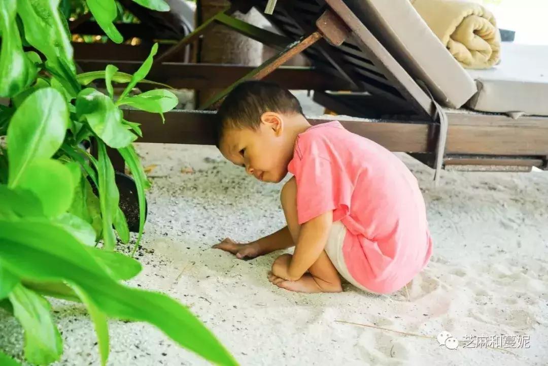 带两个孩子出去的妈妈,带两个孩子的妈妈去旅行