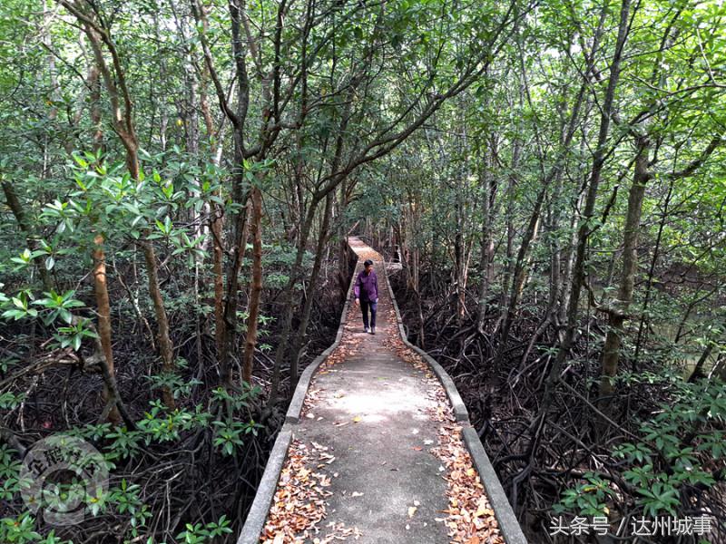 泰国小众岛屿沙美岛,泰国小众岛屿日落