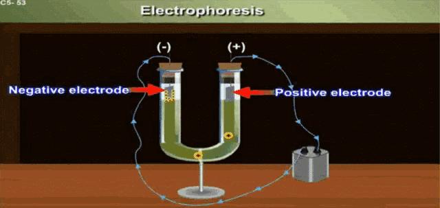 绉掓噦30,绉掓噦闃虫瀬姘у寲琛ㄩ潰澶勭悊宸ヨ壓
