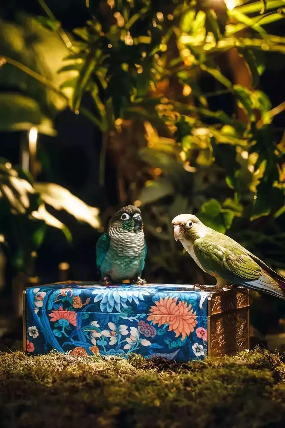 迪士尼中秋月饼礼盒推荐,迪士尼中秋节月饼礼盒高端