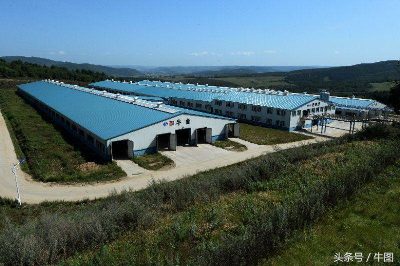 戚振林｜乳业教父郑俊怀和他的红星集团