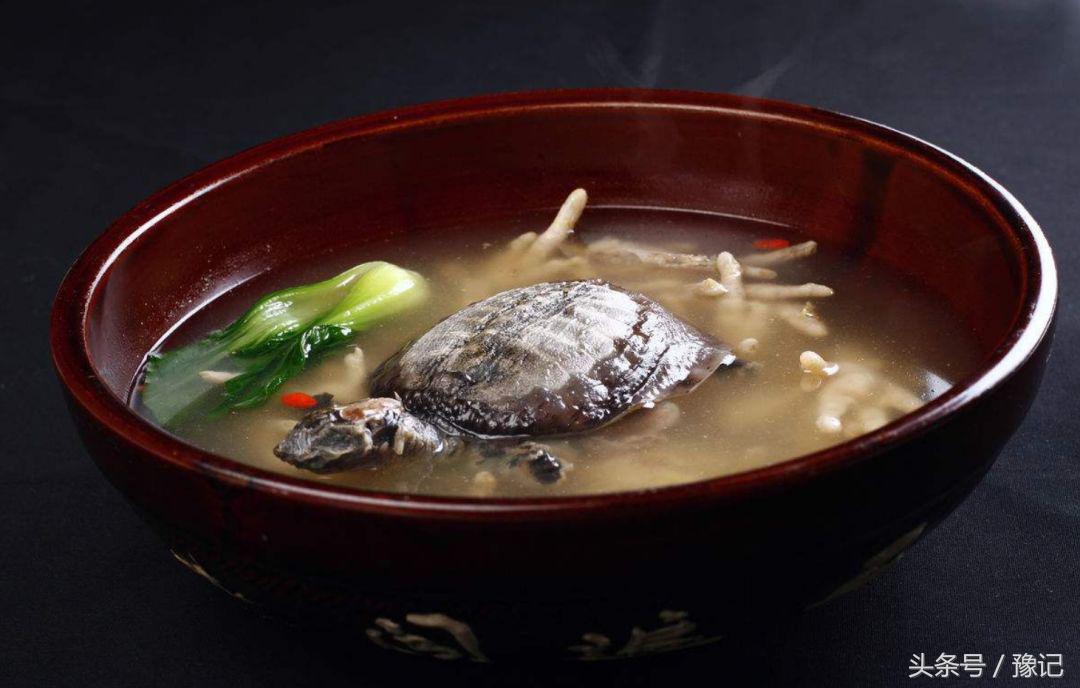 老鳖在湖里能生存吗,一个大白桶老鳖可以爬出来吗