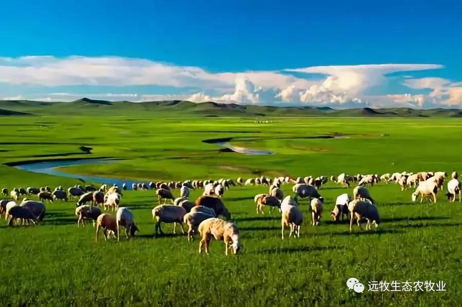 什么叫做生意和买卖,什么叫做生意最简单