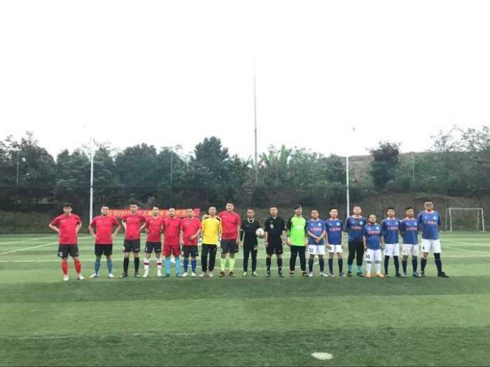 冰岛足球来看世界杯,冰岛足球和中国足球