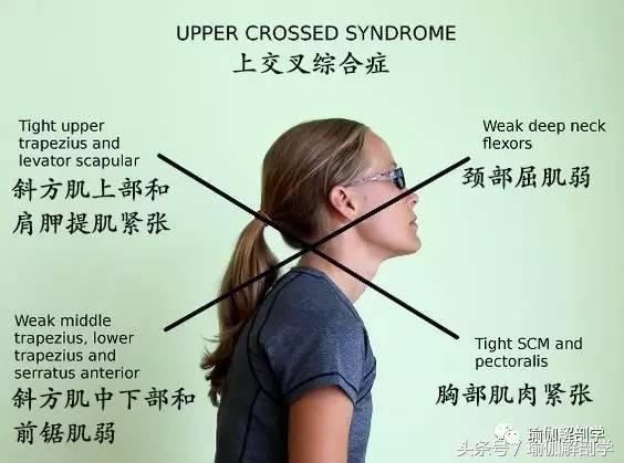 一套动作改善胸椎肩膀灵活度,干货改善胸椎灵活性2个动作推荐