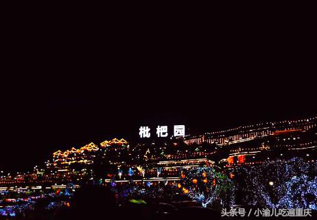 各地美食推荐重庆篇,吃货必备重庆必吃美食攻略