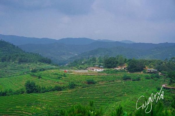 梅州客家风情故事,梅州客家人游记