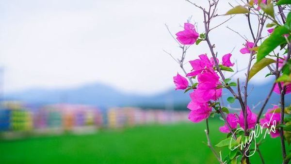 梅州客家风情故事,梅州客家人游记