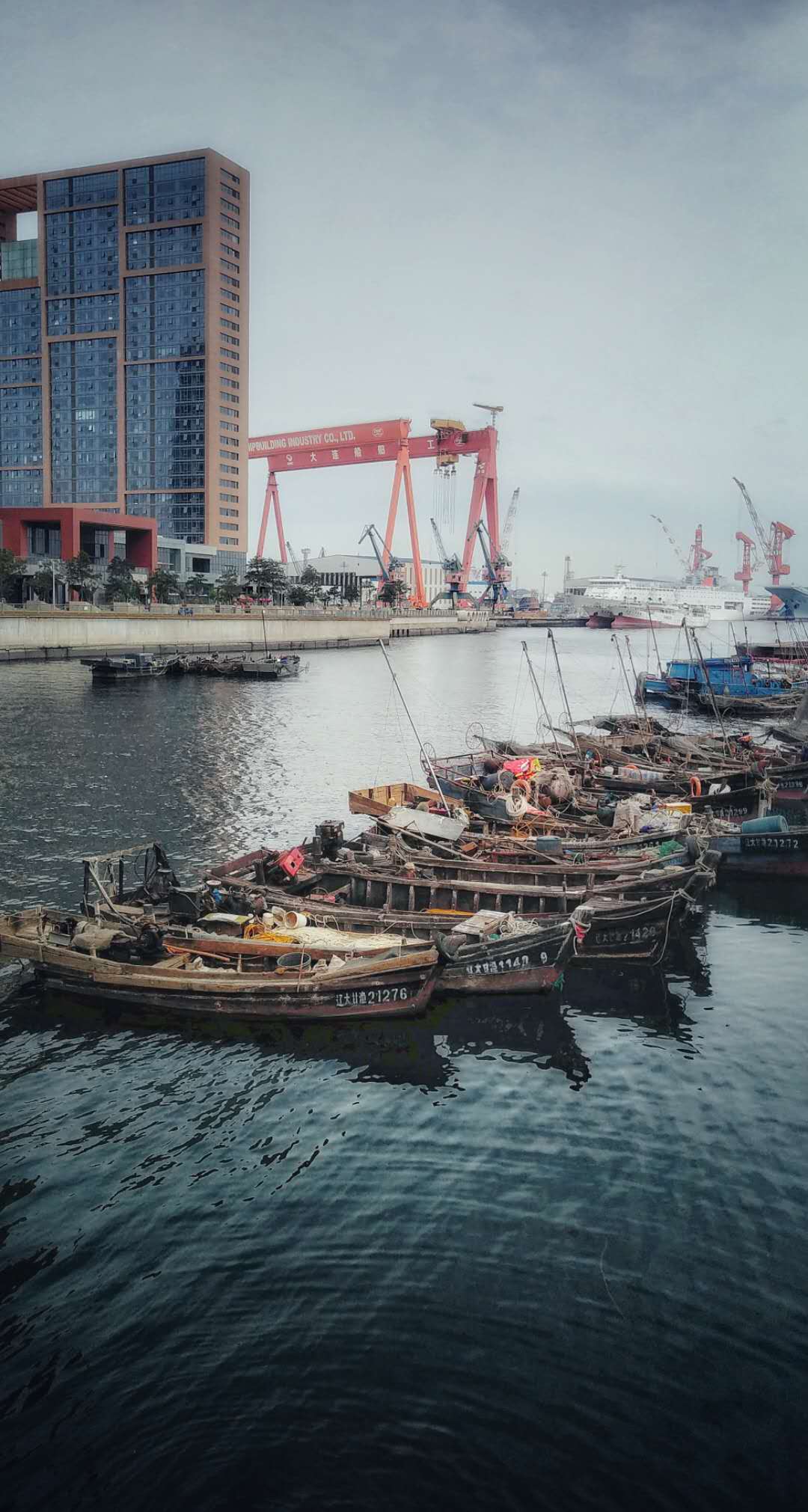 那些留在大城市的人都怎样了,在大连待过的人