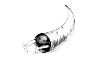 高中生做题老是看错题怎么解决,高中生不重视错题咋办