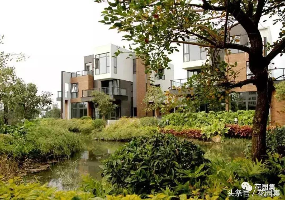 庭院栽什么树风水好,庭院最好的风水布局