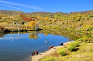 金秋坝上草原摄影,坝上秋天摄影攻略