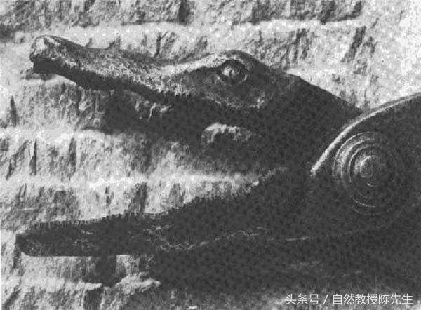 最残忍的中世纪酷刑,中世纪最残忍的六大酷刑